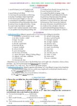 Giáo án Chuyên đề môn Tiếng Anh Khối 11 (Ban cơ bản) - Năm học 2016-2017 - Đỗ Văn Bình